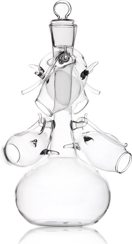 Bar Originale - Portglazen met Decanter Geschenkset - port portglas karaf glas decanteerder beluchter glaasjes pakket glazen aerator decantee digestief decanteerders schenker
