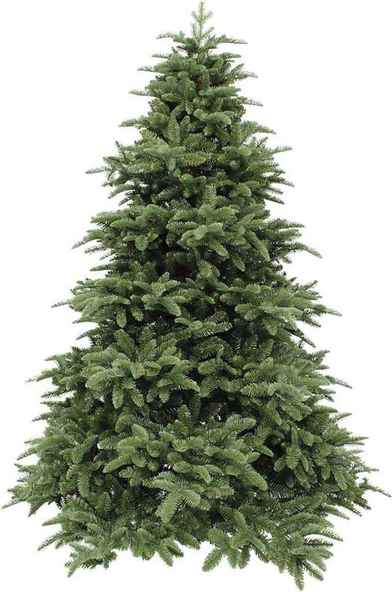 Triumph Tree Abies Nordmann